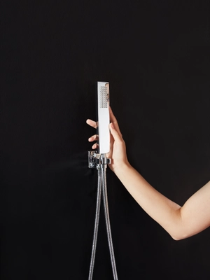 handheld shower SC308-chrome visual rendering